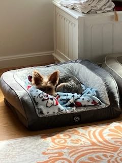 Serta Orthopedic Supportive Foam Quilted Couch Dog Bed with Soft Bolsters (Slate Gray) X-Large customer photo 2