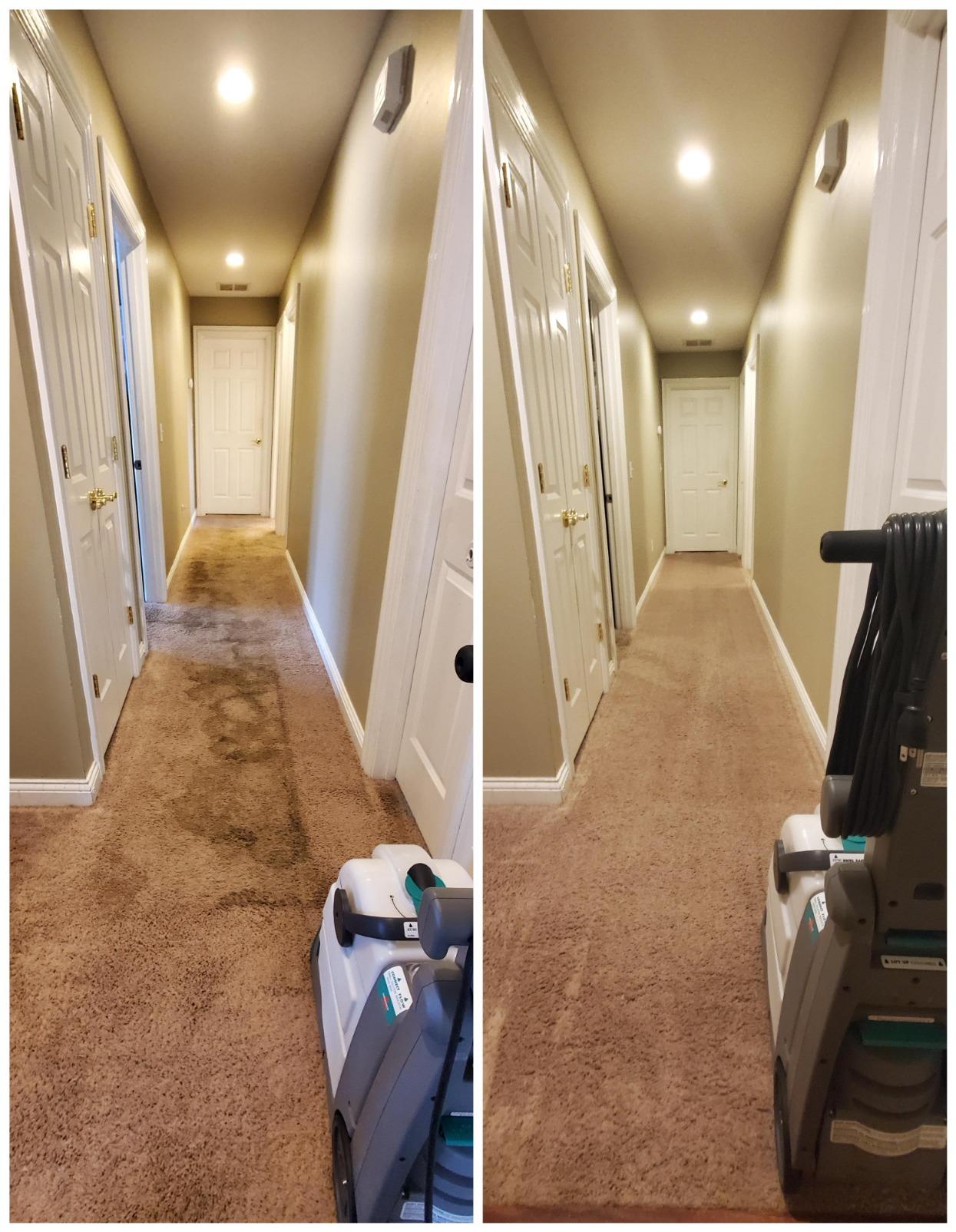 Bissell Big Green PET PRO Carpet Cleaner with 8 Row XL DirtLifter PowerBrush, 9-inch Long Reach Hose, 2 Upholstery Tools, Includes Pet Pro Oxy Urine Eliminator Formula customer photo 1