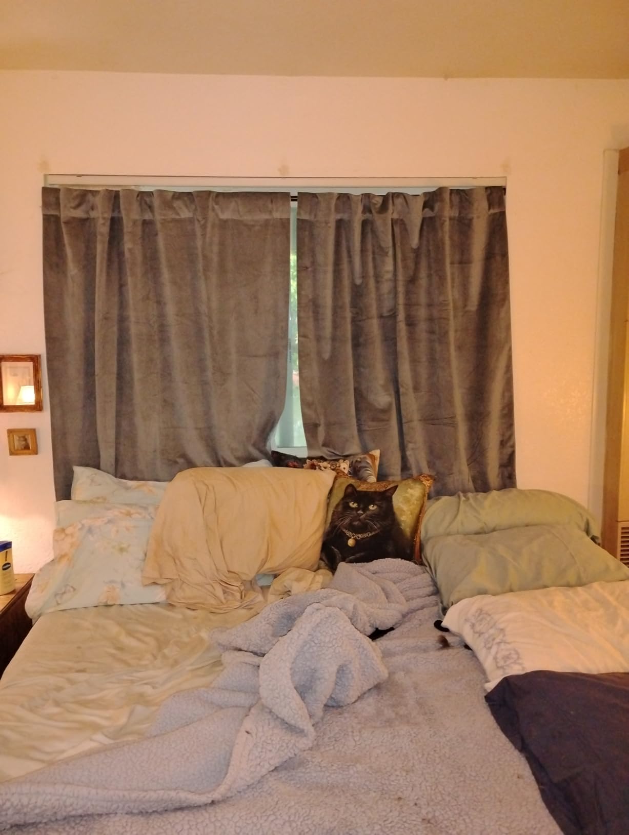 HPD Half Price Drapes Signature Plush Extra Wide Velvet Blackout Curtains for Bedroom (1 Panel), 100W X 96L Hotel Black Out Curtains for Living Room, Thermal Insulated Blackout Curtains, Library Taupe customer photo 1