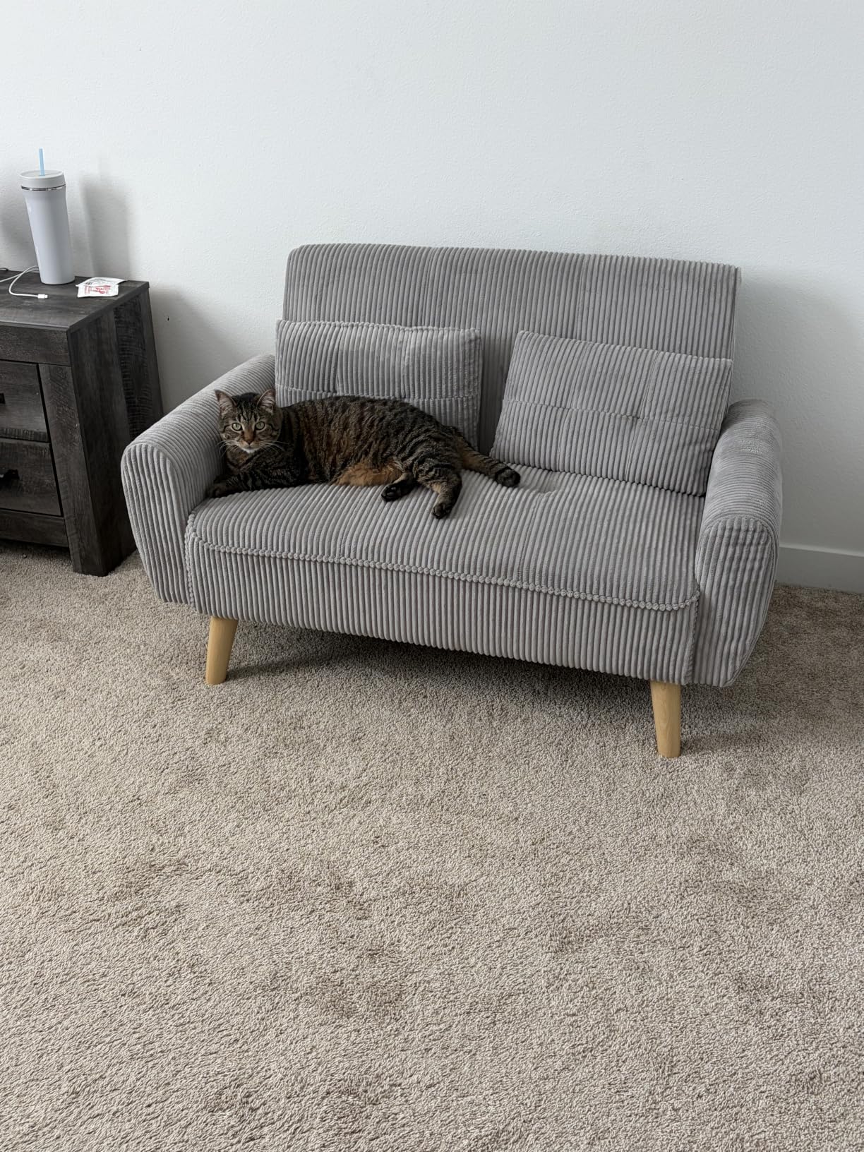 Vongrasig 48 Small Modern Loveseat Sofa, Mid Century Soft Corduroy Fabric 2-Seat Sofa Couch Tufted Love Seat (Dark Gray) customer photo 1