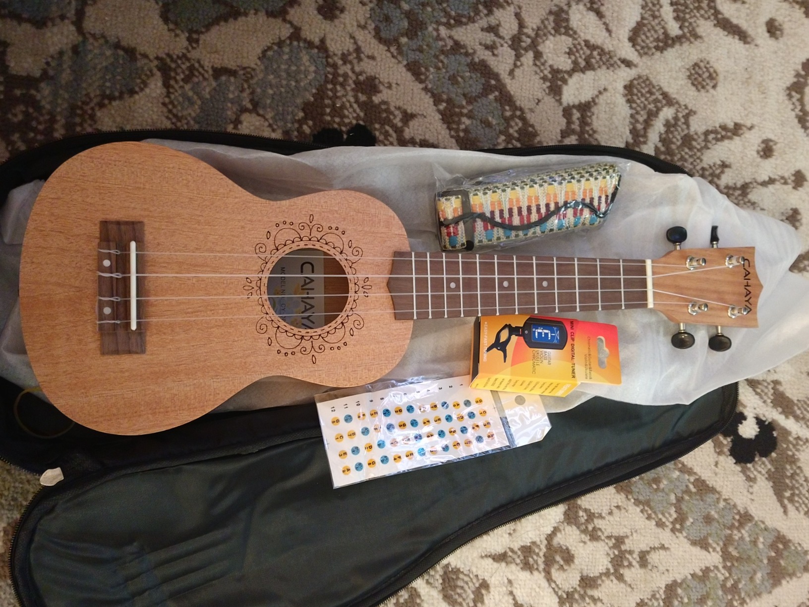CAHAYA Ukulele Kit Beginner 23