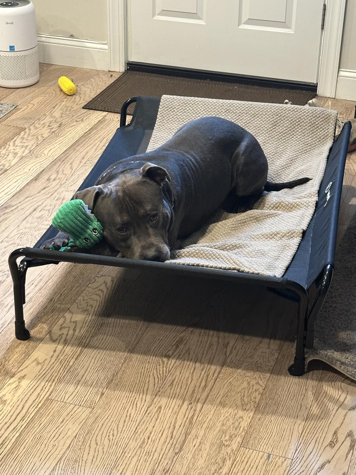 Veehoo Cooling Elevated Dog Bed, Raised Dog Cot with Guardrail & Headrest, Washable Dog Couch Bed for Indoor & Outdoor, Durable Breathable Teslin Mesh, Non-Slip Feet, Large 47