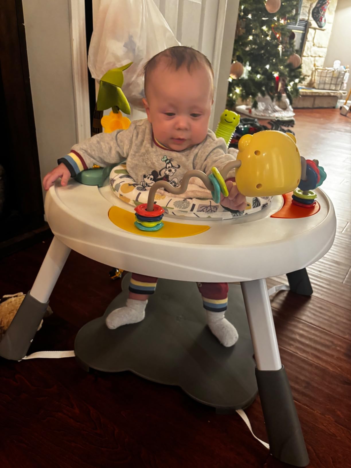 Dream On Me Curio Sit N Seek Baby Activity Center in Lime, 2 in 1 Activity Center and Play Table with 3 Detachable Toys and Music, 3 Level Height Adjustable customer photo 2