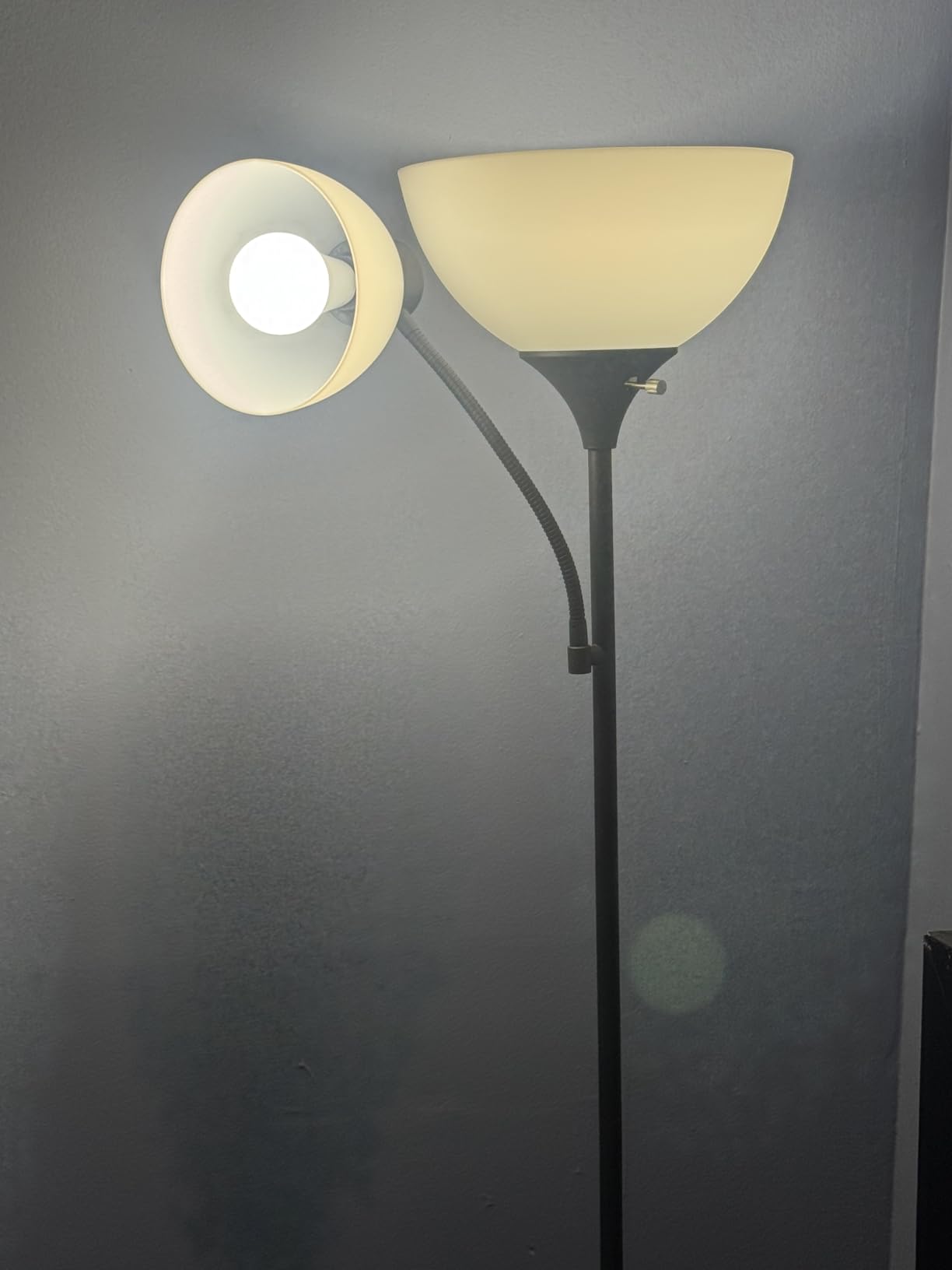GERGO Led Floor Lamp, Super Bright 11W+7W 2100LM Torchiere Floor Lamps for Living Room, Stepless Adjustable 4 Color Temperatures 3000K-6000K with Remote Control for Bedroom (Matte Black) customer photo 2