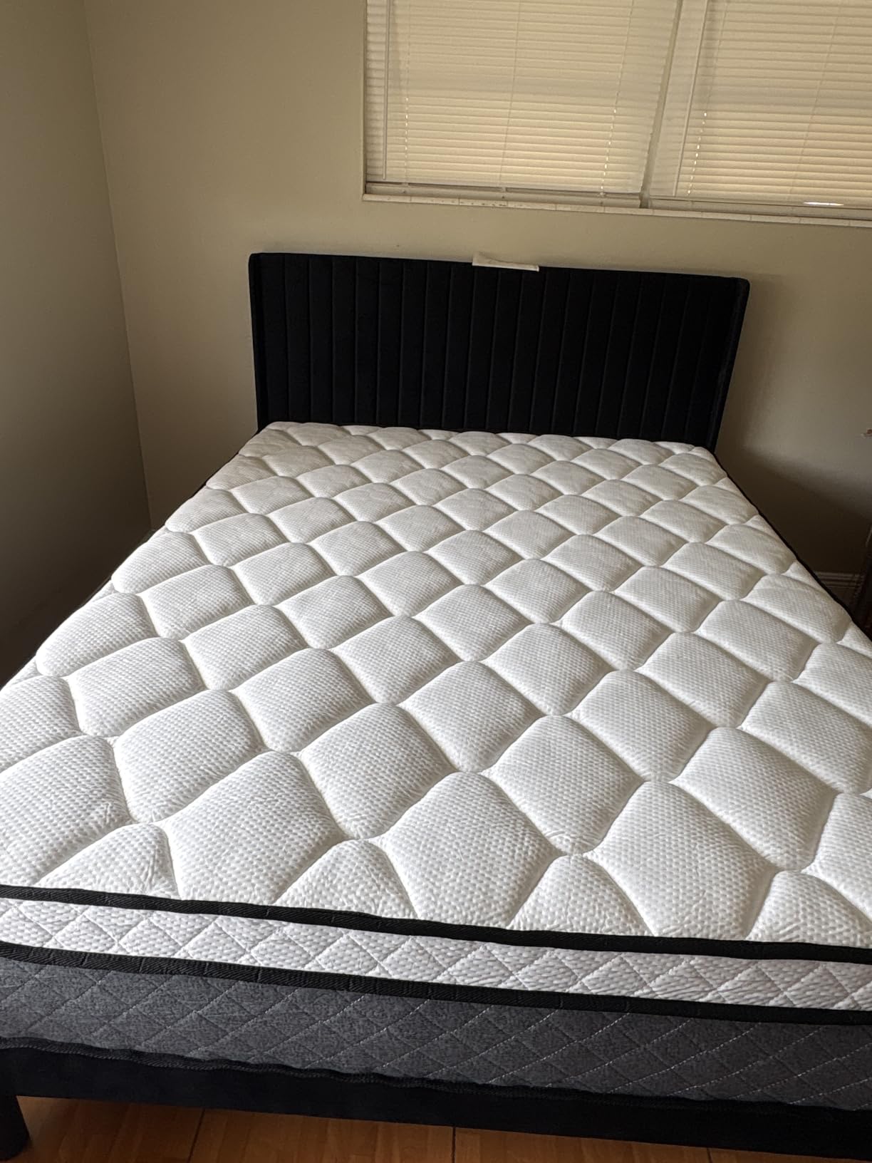 Allewie Queen Size Velvet Bed Frame/Vertical Channel Tufted Wingback Headboard/Upholstered Platform Bed/Strong Wooden Slats/No Box Spring Needed/Easy Assembly/White customer photo 2