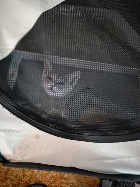 Siedihit Dog Cat Playpen, Puppy Pet Playpen Indoor for Small Dog Crate Tent Cage Outdoor, Portable Pop Up Dogs Enclosure Kennel with Carrying Case for Dogs/Cats/Rabbits (Grey, Small) customer photo 1