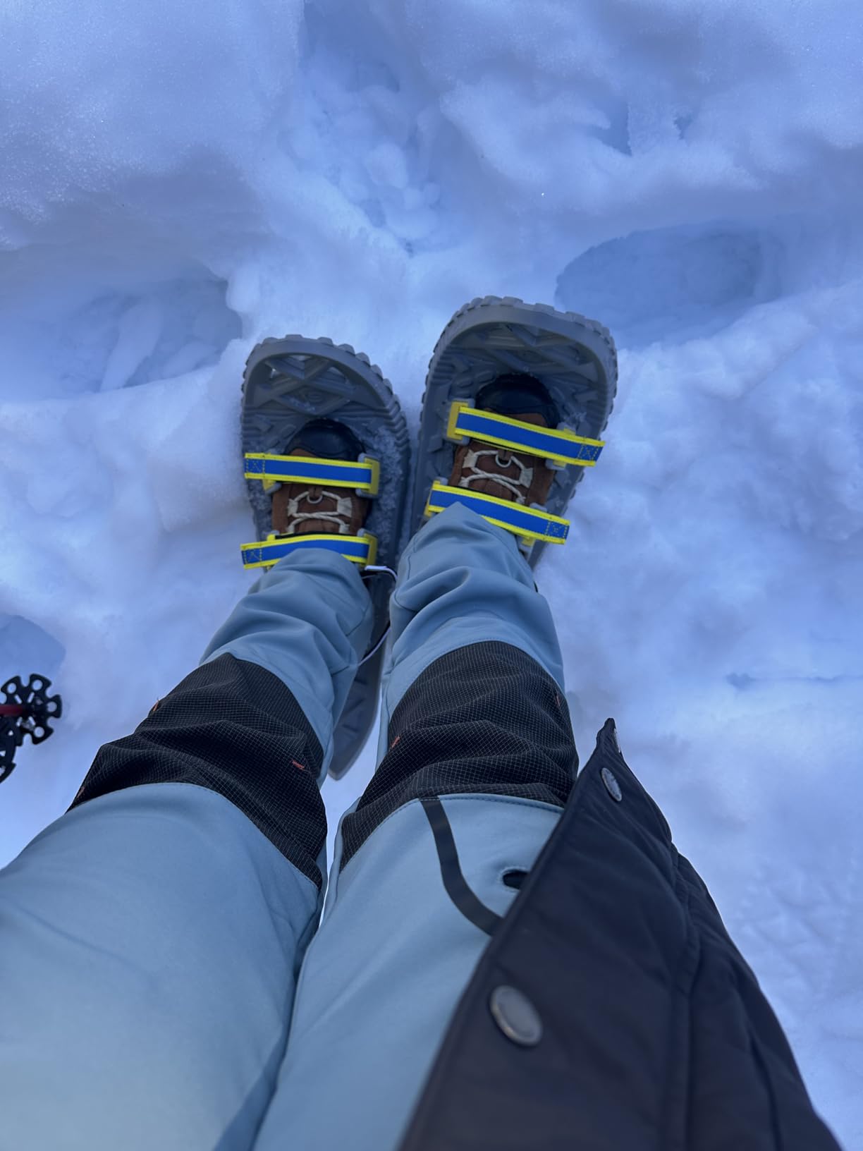 Snowshoes Eco Eva - Ultralight 22