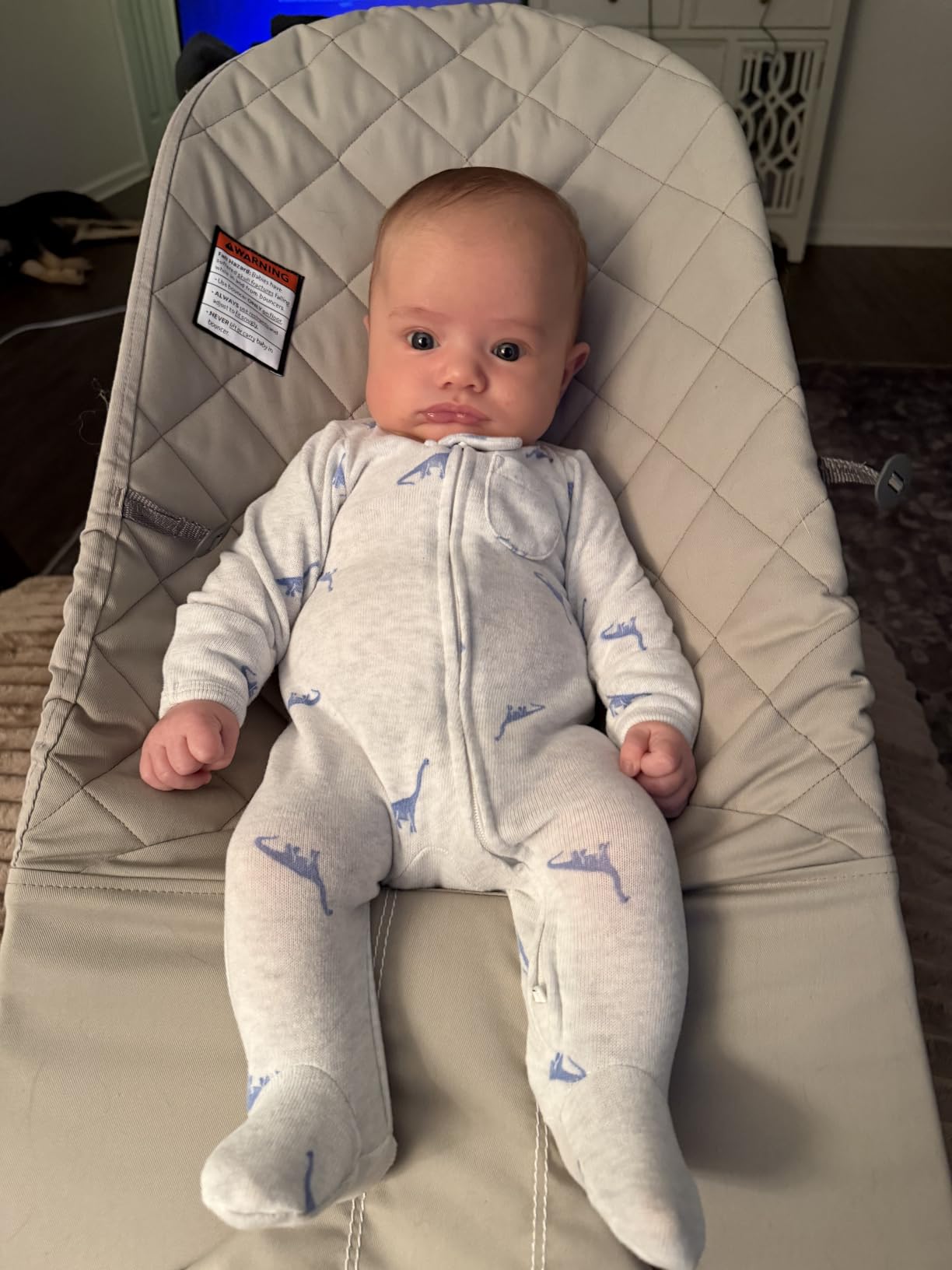 BabyBjorn Bouncer Bliss, Sand Gray, Woven, Classic Quilt | 2-in-1 Adjustable Baby Bouncer Seat and Toddler Chair, Newborn to Toddler (8-29 lbs), 4 Positions, Lightweight & Portable customer photo 2
