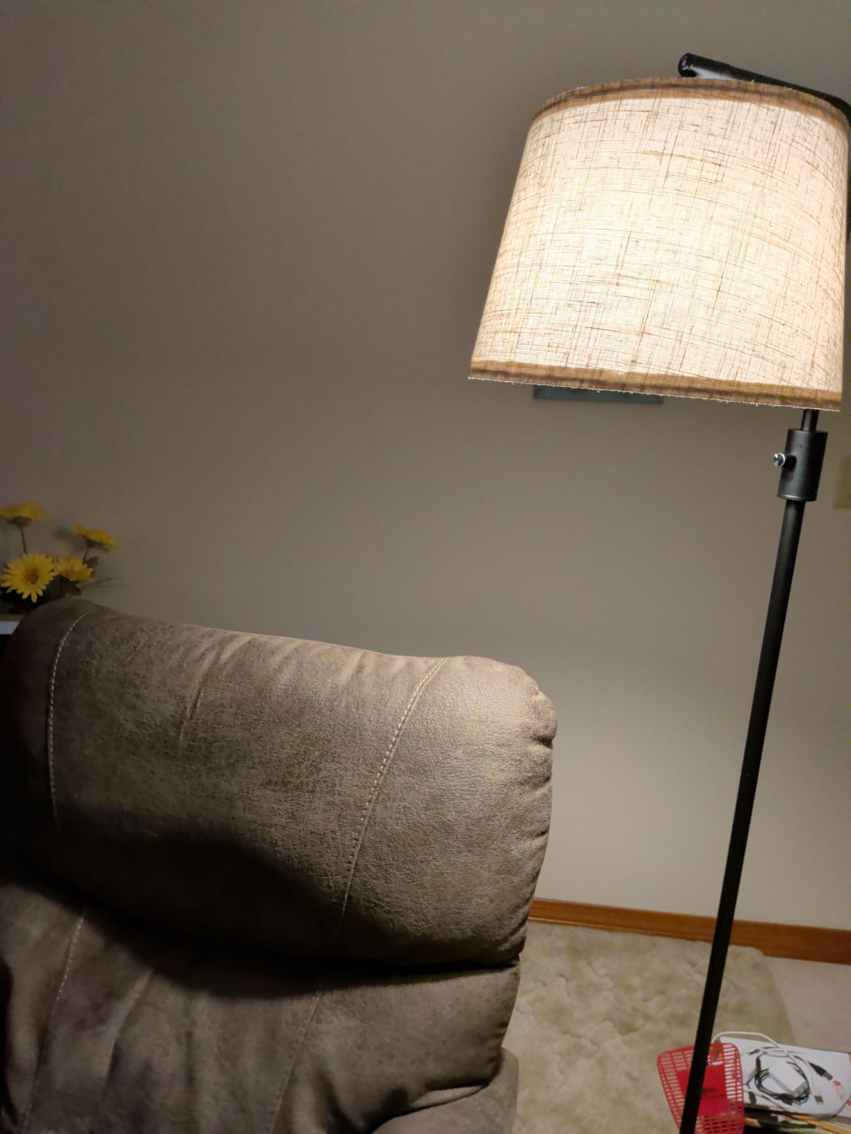 Nintiue Dimmable Floor Lamp, 1000 LM LED Edison Bulb Included, Arc Floor Lamps for Living Room Modern Standing Lamp Tall Lamps for Living Room Bedroom-Brass customer photo 1