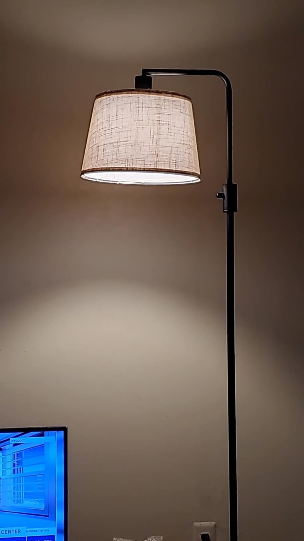 Nintiue Dimmable Floor Lamp, 1000 LM LED Edison Bulb Included, Arc Floor Lamps for Living Room Modern Standing Lamp Tall Lamps for Living Room Bedroom-Brass customer photo 2