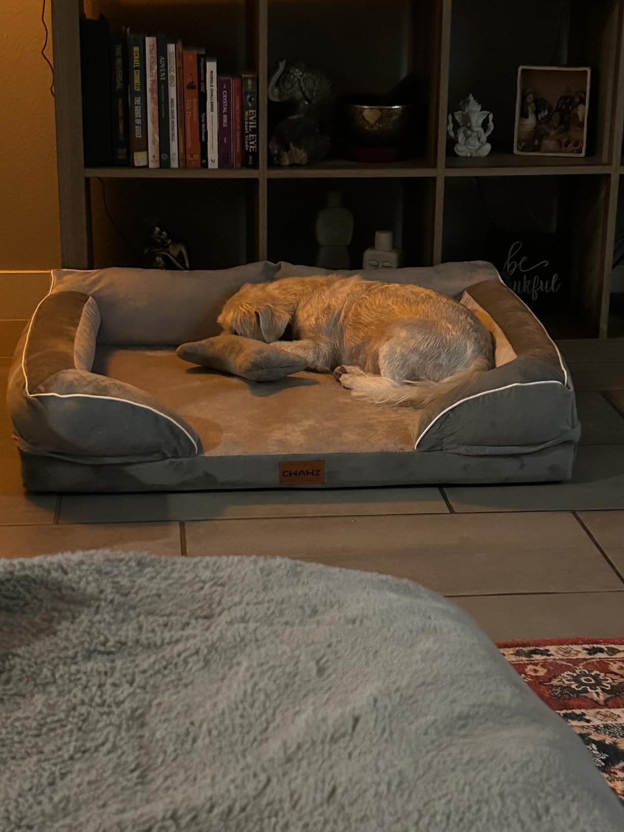 CWAWZ Extra Large Dog Bed, Orthopedic Dog Bed with Cooling Gel Memory Foam, Waterproof XL Pet Bed with Removable Washable Cover, 42