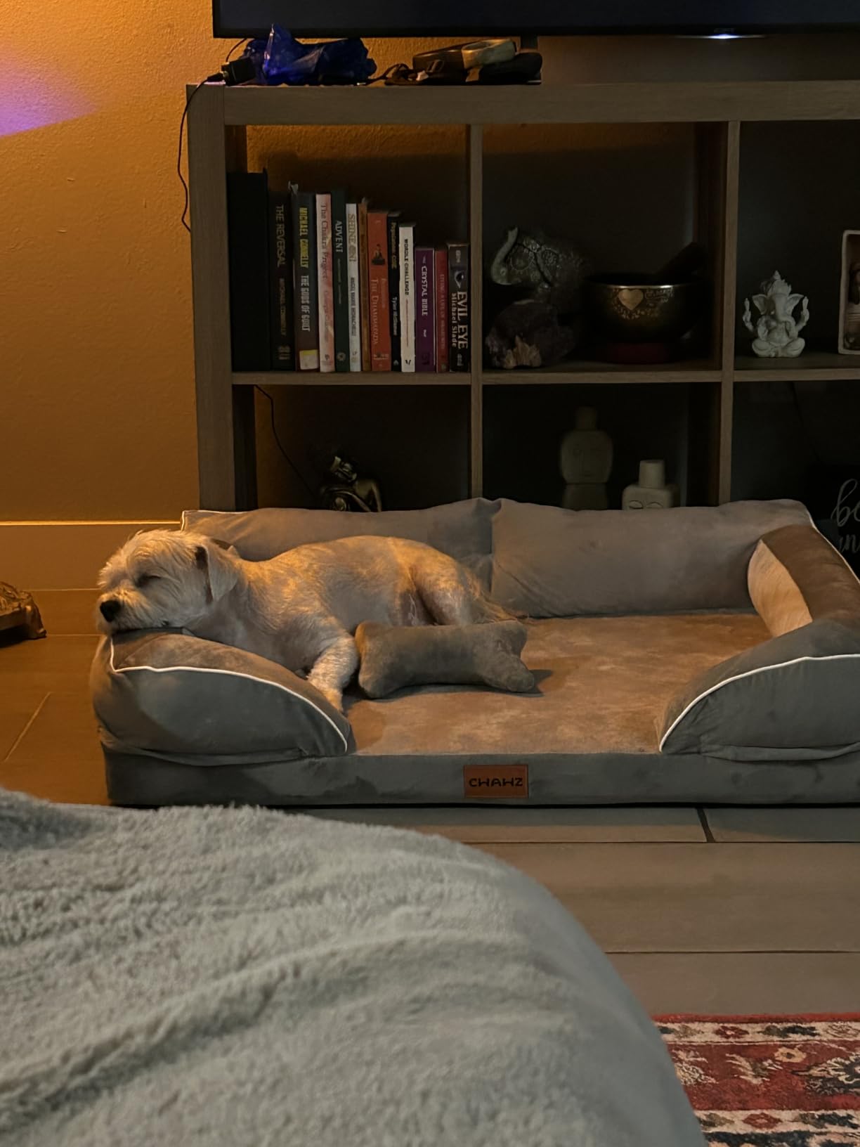CWAWZ Extra Large Dog Bed, Orthopedic Dog Bed with Cooling Gel Memory Foam, Waterproof XL Pet Bed with Removable Washable Cover, 42