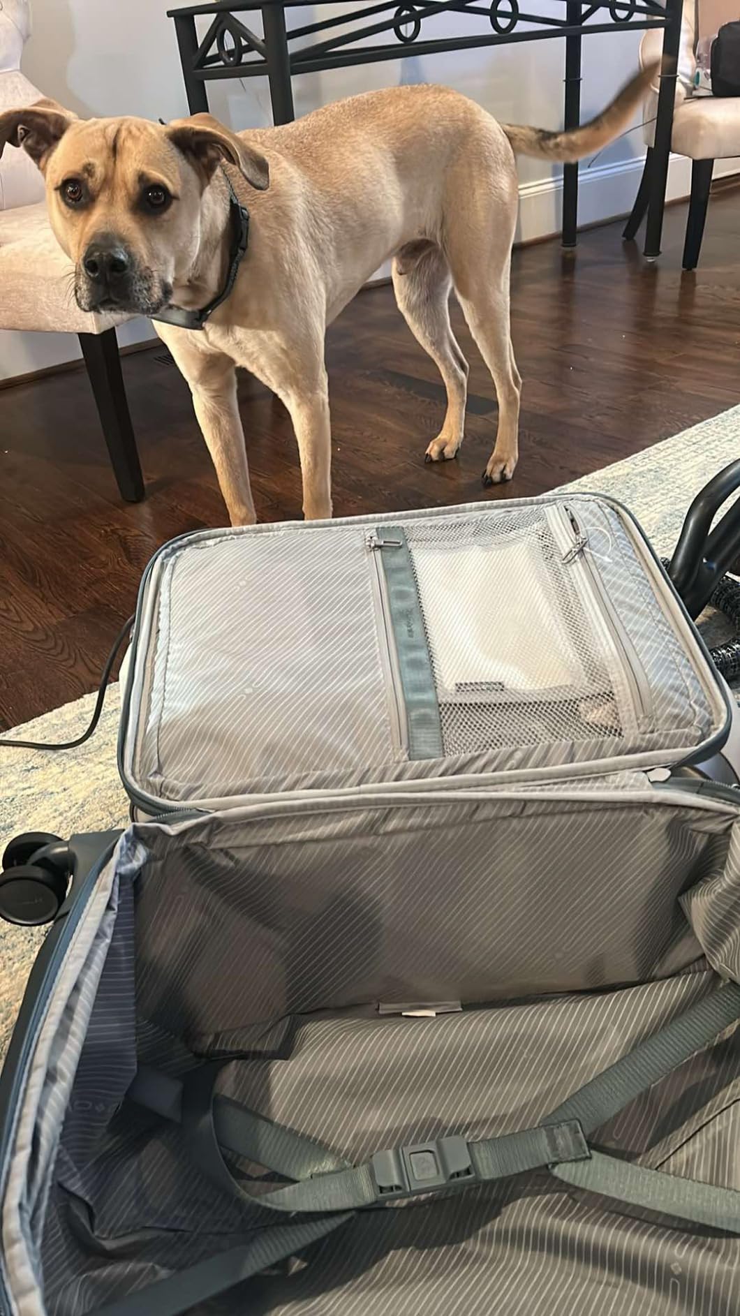 Samsonite UpLIFT Lightweight Softside Carry-On Luggage with Spinner Wheels - Expandable - Airline-Approved, Polyester Soft Suitcase for Ultra Light Travel - Elemental Blue customer photo 2