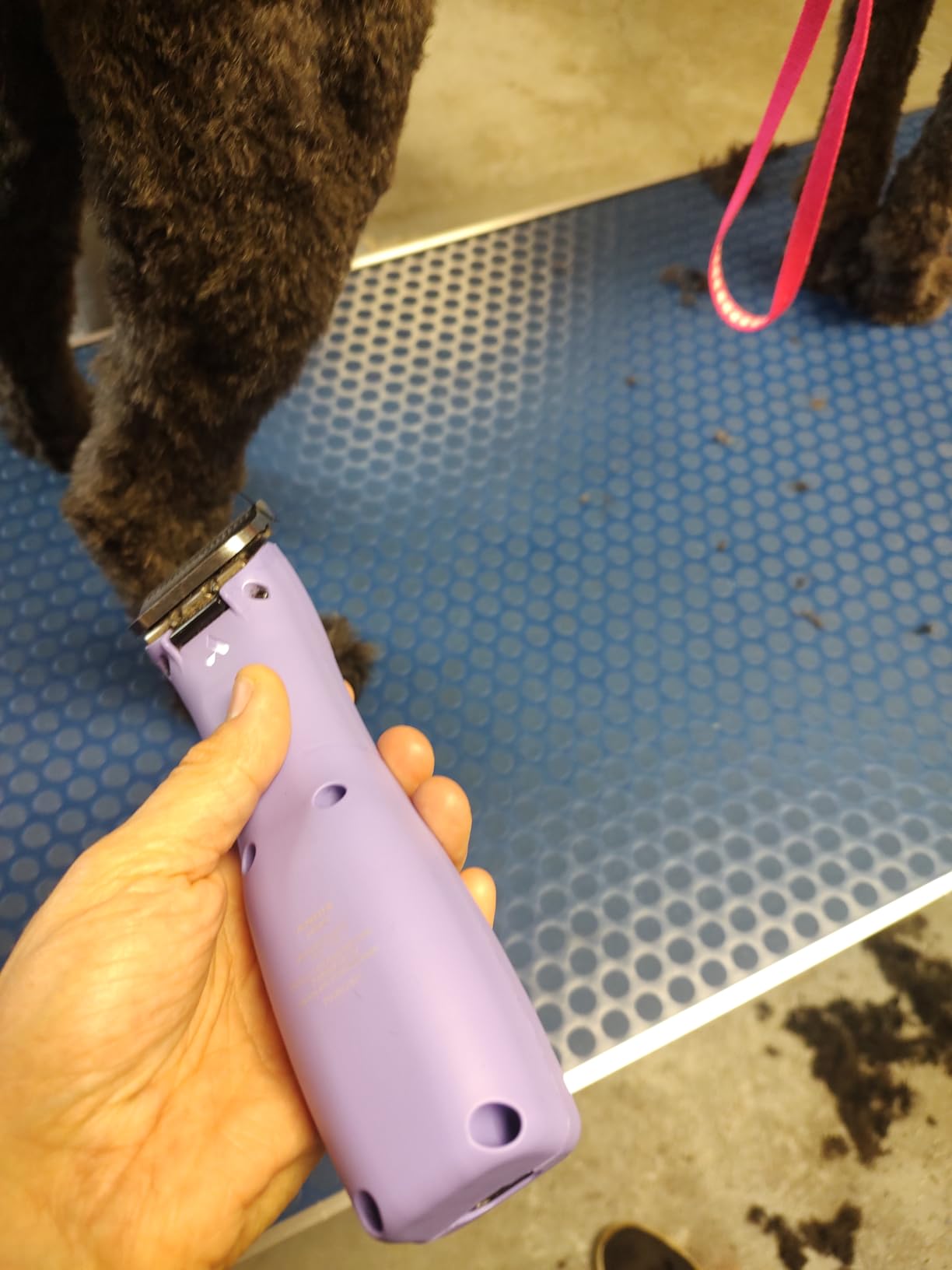 Andis Emerge Cordless Detachable Blade Dog Clipper | High-speed powerful motor, cord/cordless flexibility customer photo 2