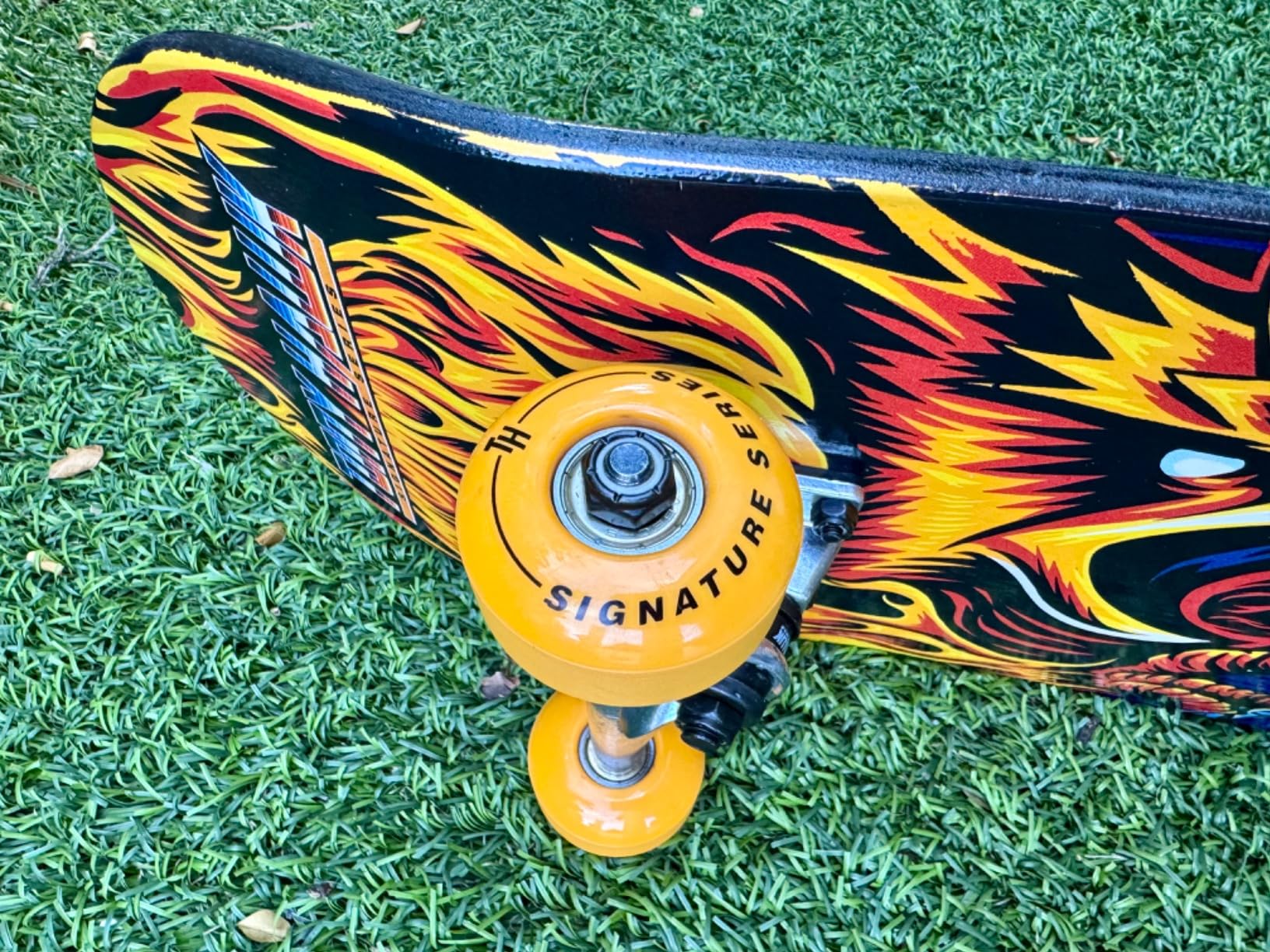 Tony Hawk - 31-Inch Signature Series 3 Skateboard, 9-Ply Maple Deck customer photo 2
