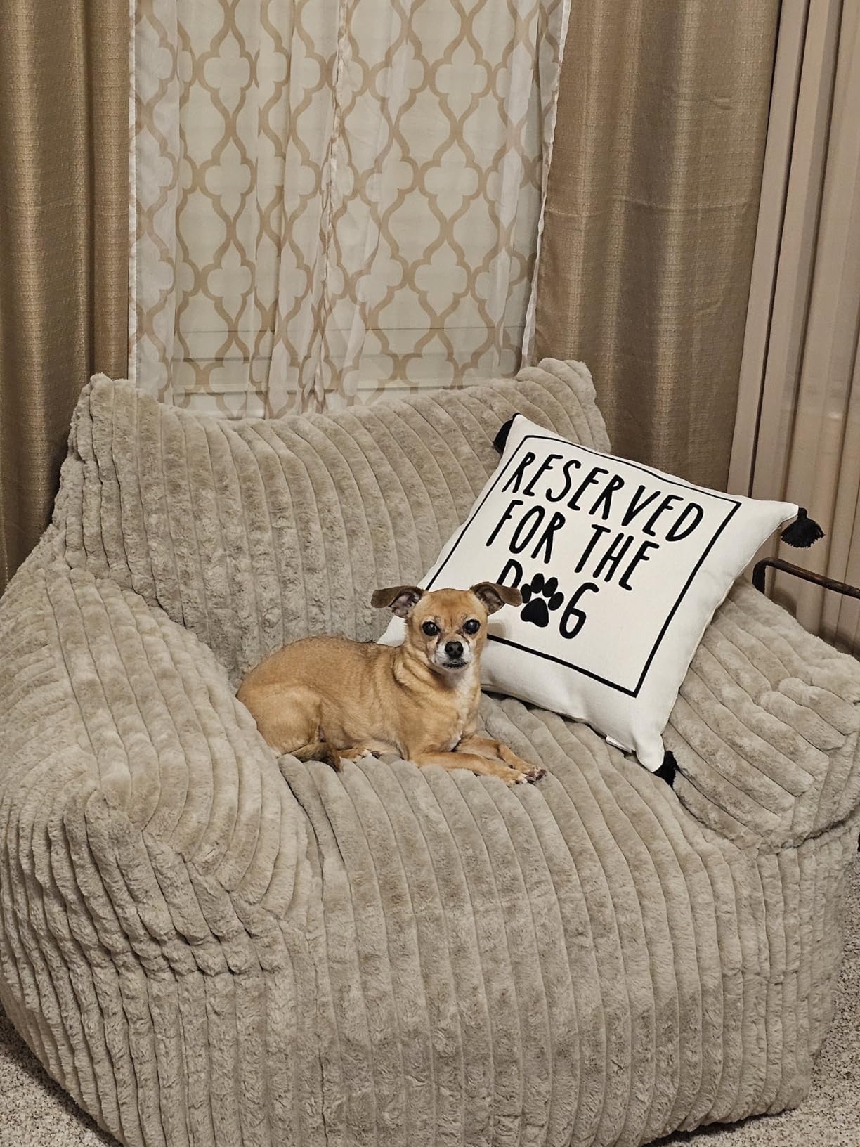Giant Plush Bean Bag Chair for Adults with Armrests - Oversized Comfy Beige Beanbag Lounge Lazy Floor Sofa Accent Chair for Living Room, Bedroom & Dorm, Cozy Fluffy Single Cloud Mini Couch customer photo 1