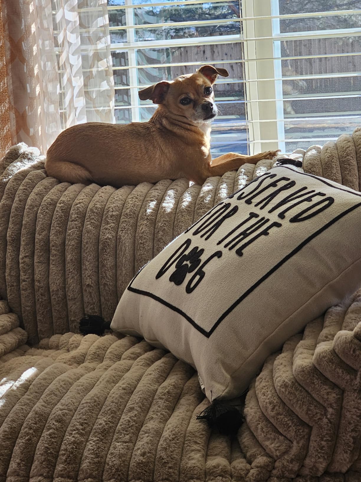 Giant Plush Bean Bag Chair for Adults with Armrests - Oversized Comfy Beige Beanbag Lounge Lazy Floor Sofa Accent Chair for Living Room, Bedroom & Dorm, Cozy Fluffy Single Cloud Mini Couch customer photo 2