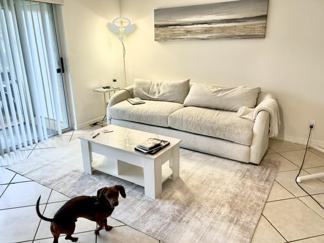 Area Rugs 8x10 Living Room: Washable Rug Modern Abstract Large Rugs Soft Non Slip Neutral Rug Stain Resistant Indoor Carpet for Bedroom Kitchen Dining Room Table Nursery Home Office Rugs (Beige, 8'x10') customer photo 2