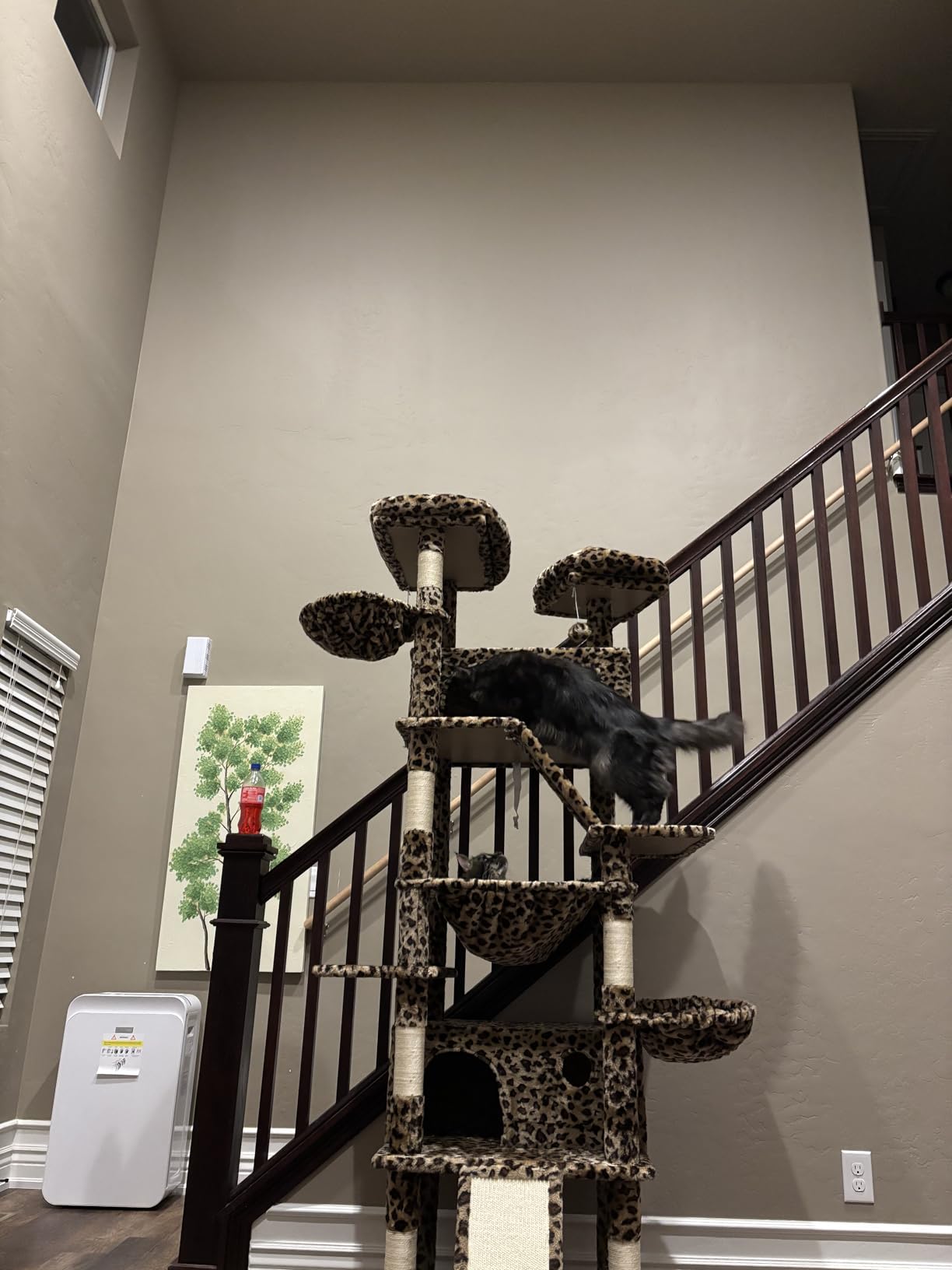 Allewie 81 Inches Tall Cat Tree/Multi-Level Large Climbing Tree House and Towers for Big Feline/Condo and Hammock/Scratching Post/Wide Base/Dark Grey customer photo 1