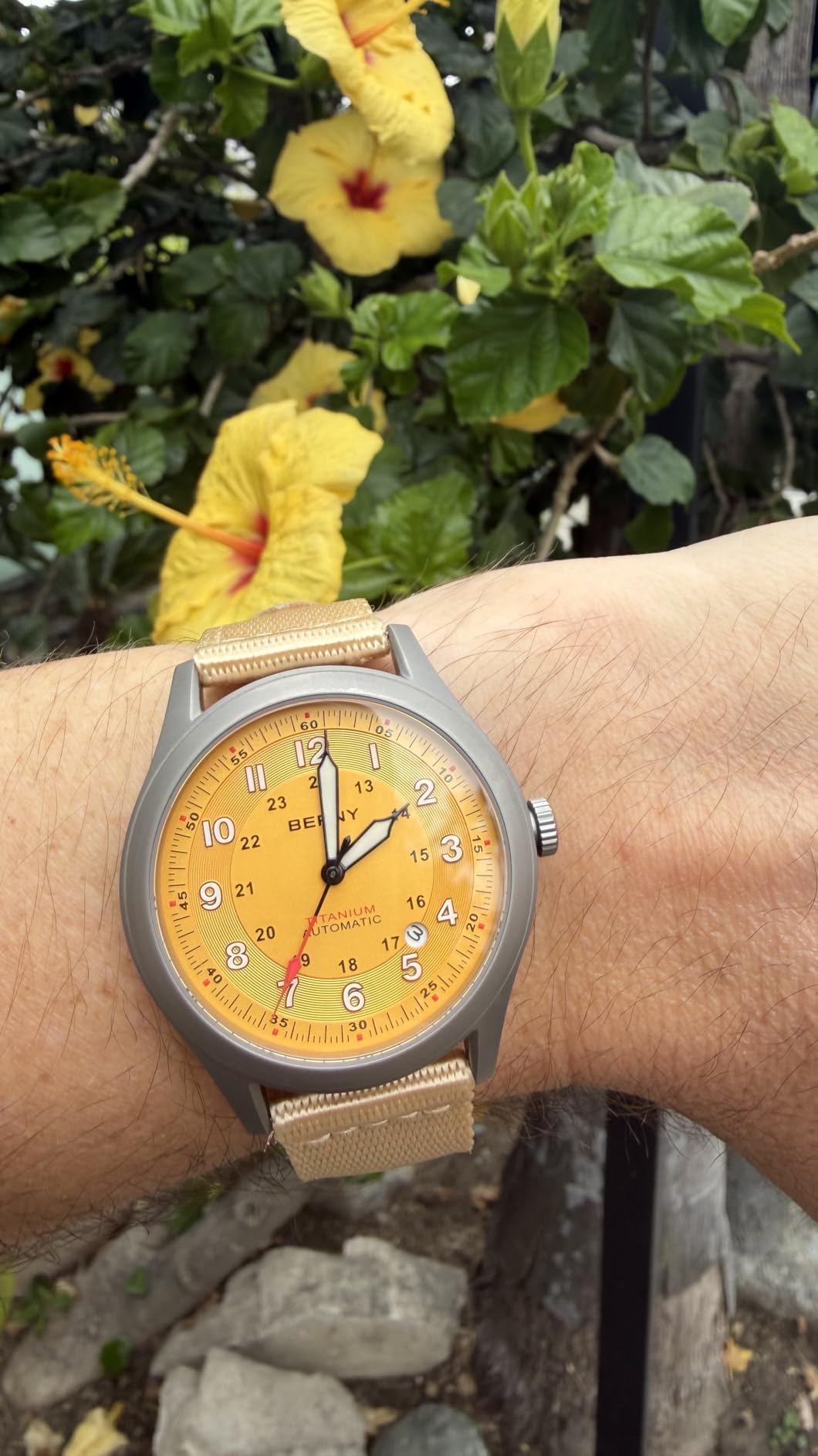 BERNY Titanium Automatic Watch, 10ATM Waterproof Men's Military Field Watch | Super Luminous, AR Scratch-Resistant Sapphire, Date Calendar,Miyota 8215 Mechanical Movement, Ideal Birthday Present customer photo 1