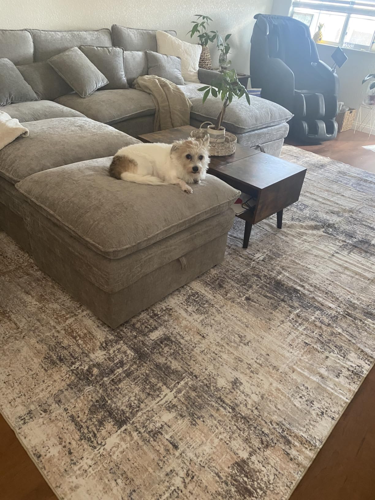 9x12 Area Rug for Living Room, Abstract Washable Non-Slip Large Rugs, Gold | Soft Neutral Carpet for Bedroom, Dining Room, Home Office Nursery Indoor, Stain Resistant, Low Pile, Foldable Modern Rug customer photo 1