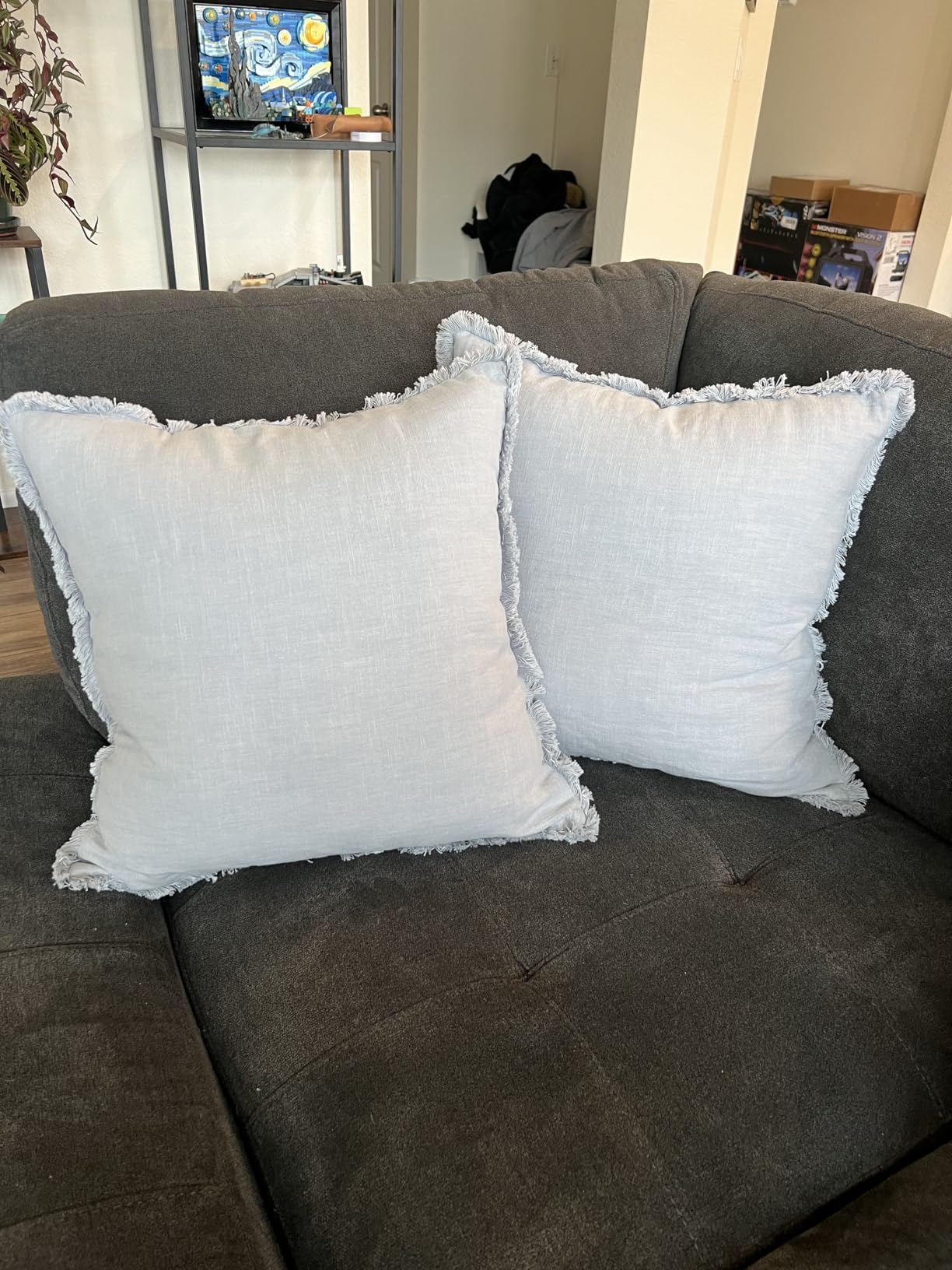 MIULEE 18x18 Pillow Inserts Set 2 100% Virgin Microfiber with Cotton Cover | Throw Pillows for Couch Sofa and Bed, filled with 500 g/1.32 lb (30% more than others) high-resilience virgin microfiber customer photo 2