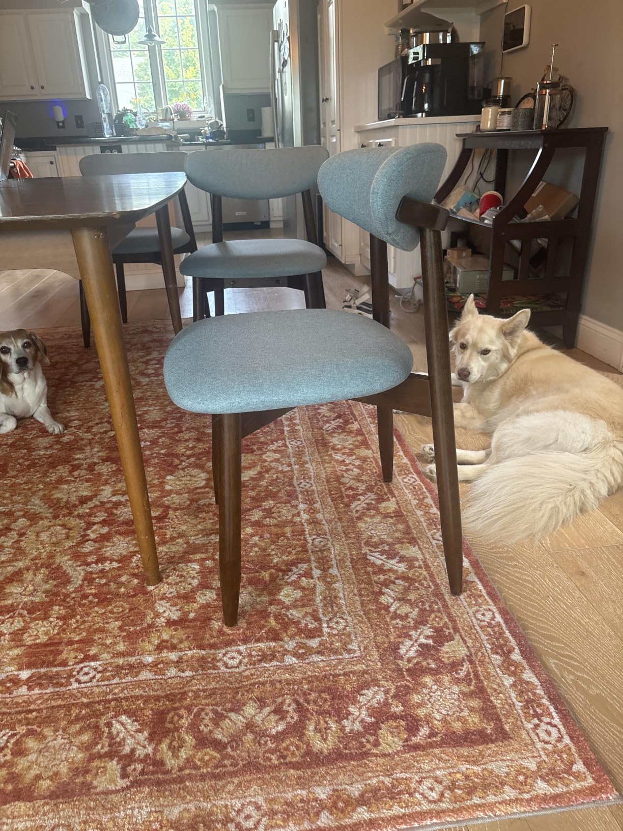 CHUN YI Dining Chairs Set of 4, Upholstered Wooden Dining Room Chairs, Mid Century Modern Fabric Kitchen Chair with Ergonomic Curved Backrest, Beige (Only Chairs) customer photo 1