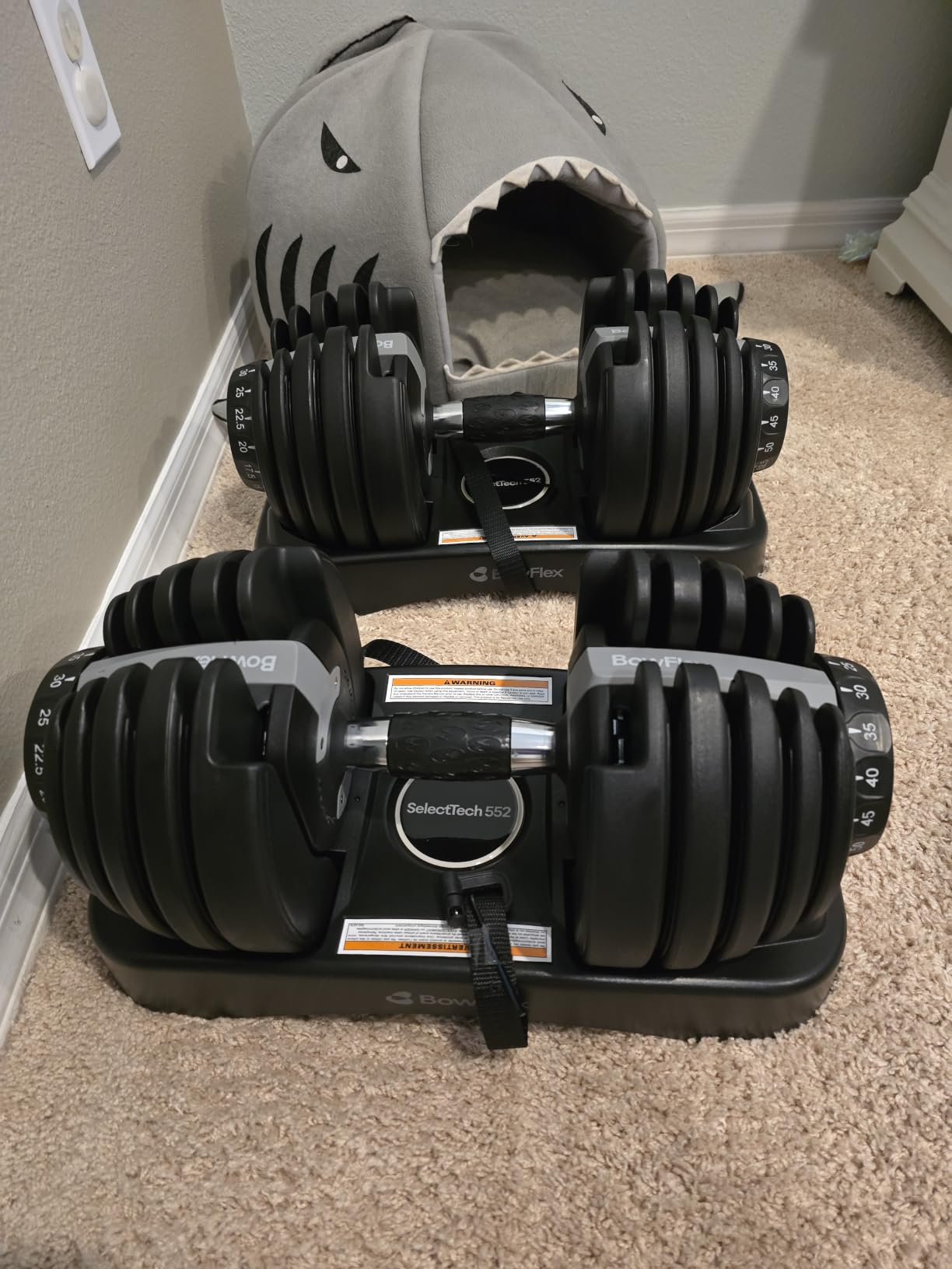 BowFlex Results Series SelectTech Dumbbells customer photo 2