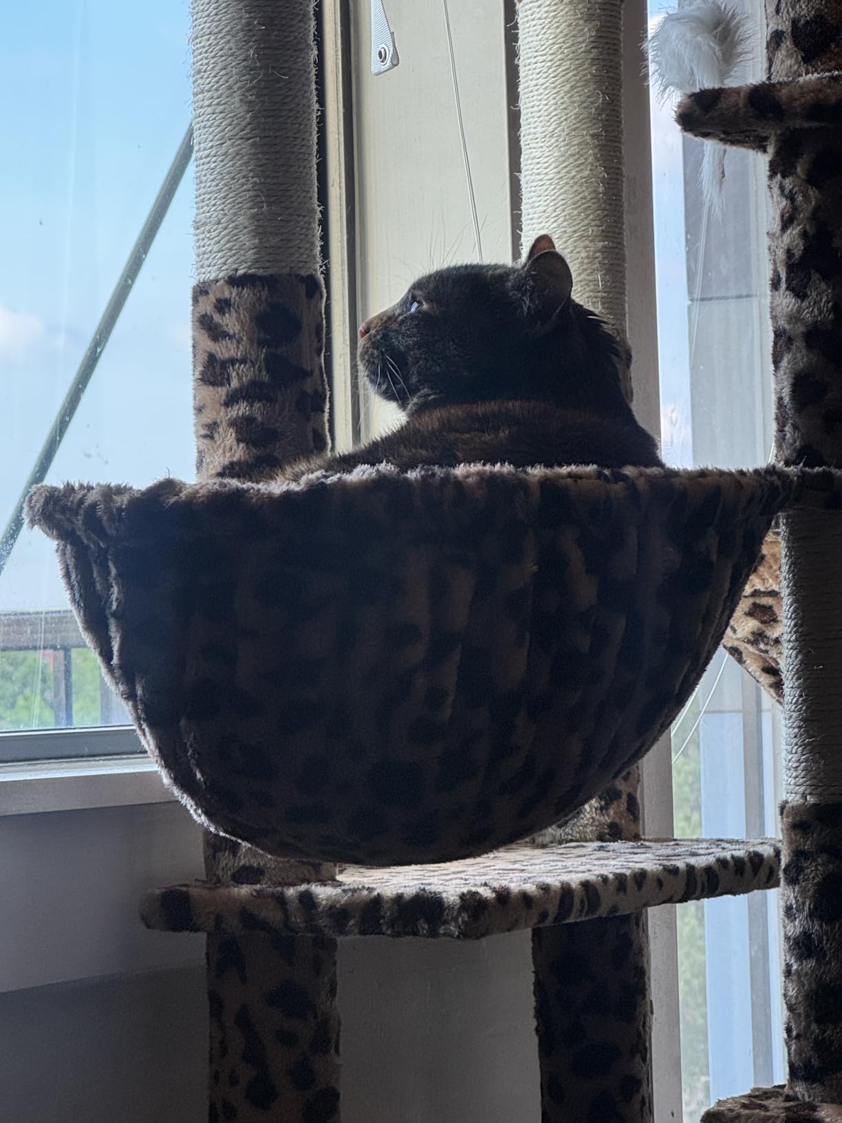 Globlazer Heavy Duty Cat Tree 78 inch Sturdy Cat Tower for 20lbs Large Adult Cats, Symmetrical Aesthetic Big Cat Tree with Extra Large Platform, 2 Scratching Boards, Z78, Light Grey customer photo 2