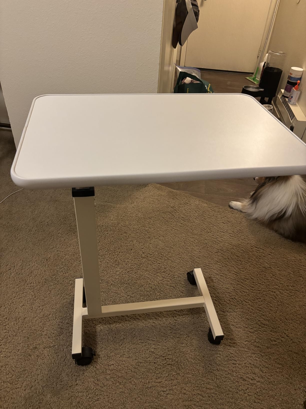 Adjustable Overbed Table with Wheels, Pneumatic Height Lift Rolling Bedside Table, Standing Desk for Home & Office Use, Ideal for Seniors & Limited Mobility (White) customer photo 1
