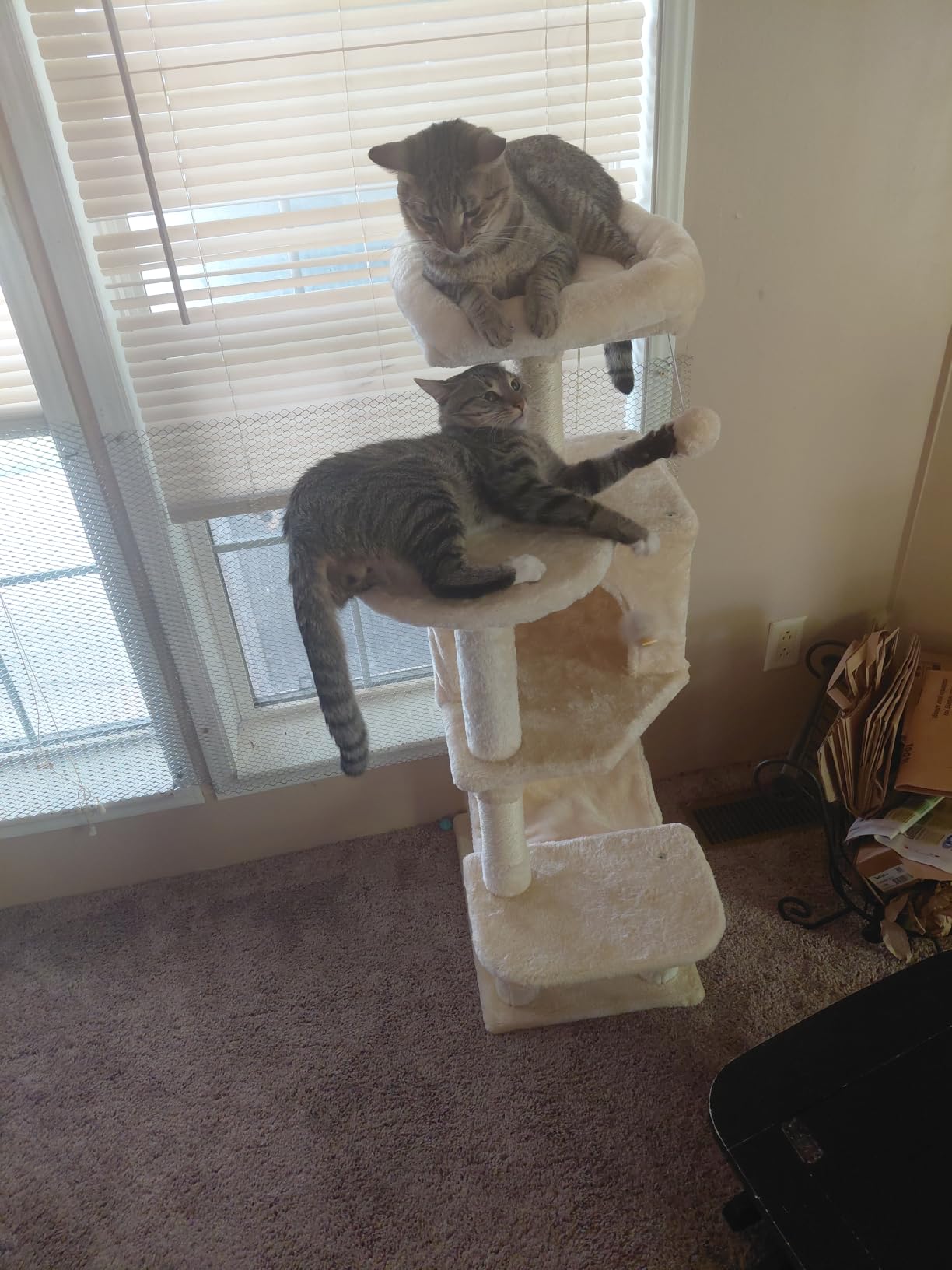 Sweetcrispy 44 Inch Cat Tree Tower, Cat Climbing Tower with Natural Sisal Scratching Posts, Hammock, Pet Condo for Indoor Cats and Kittens Play, Beige customer photo 1