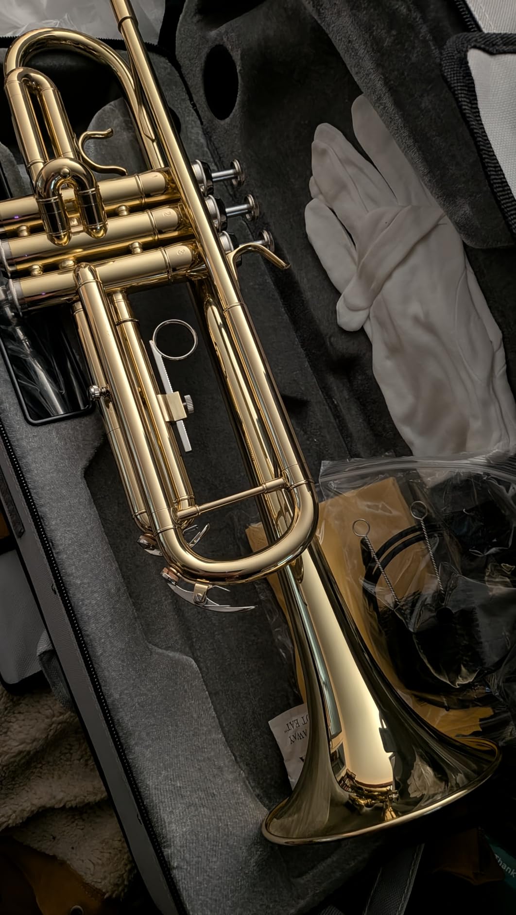 STRICH Bb Standard Trumpet Set for Beginners Student | Brass Trumpet Instrument with Hard Case, Cleaning Kit, 7C & 3C Mouthpieces, Gloves STR-130G, Gold customer photo 1