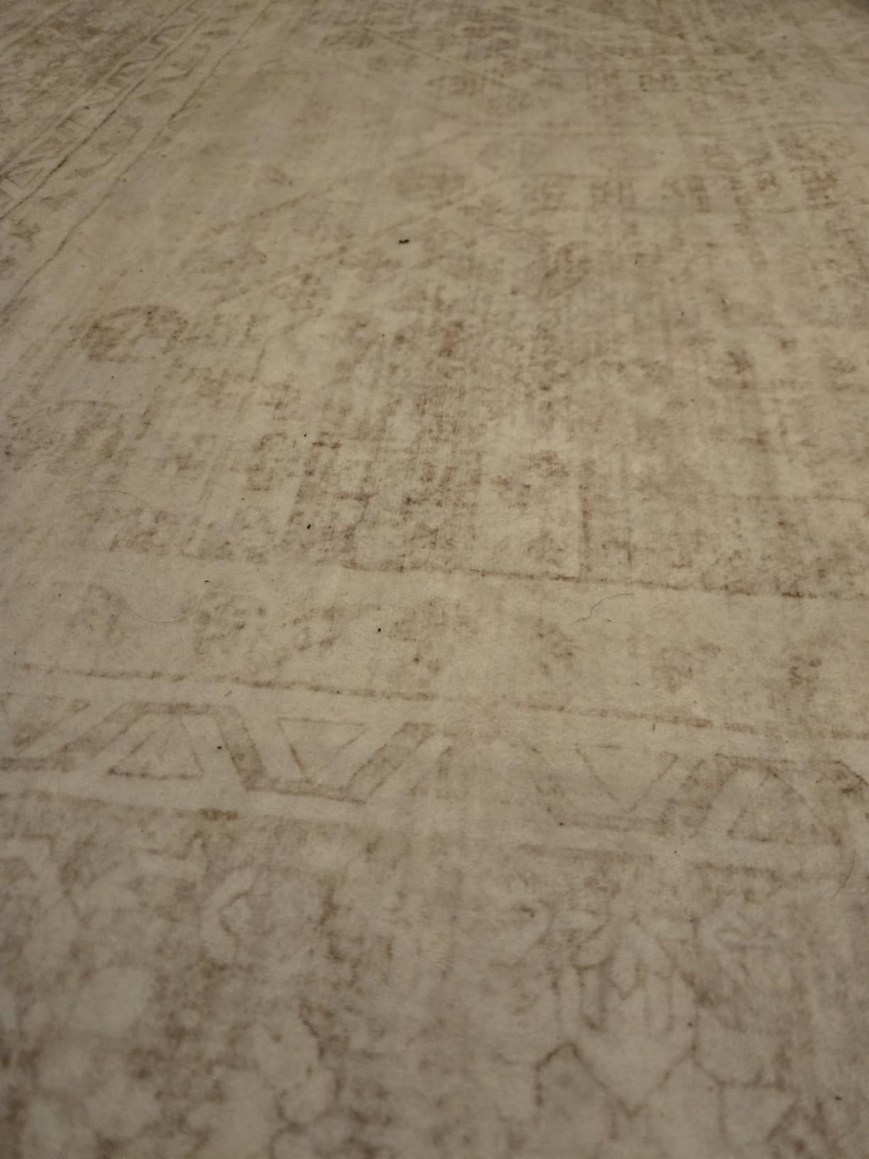 8x10 Area Rugs Living Room: Bedroom Neutral Washable Carpet Beige | Large Vintage Boho Indoor Decor Carpets Soft Nursery Farmhouse Dining Room Office Floor Non-Slip Low Pile Under Table Rug customer photo 2