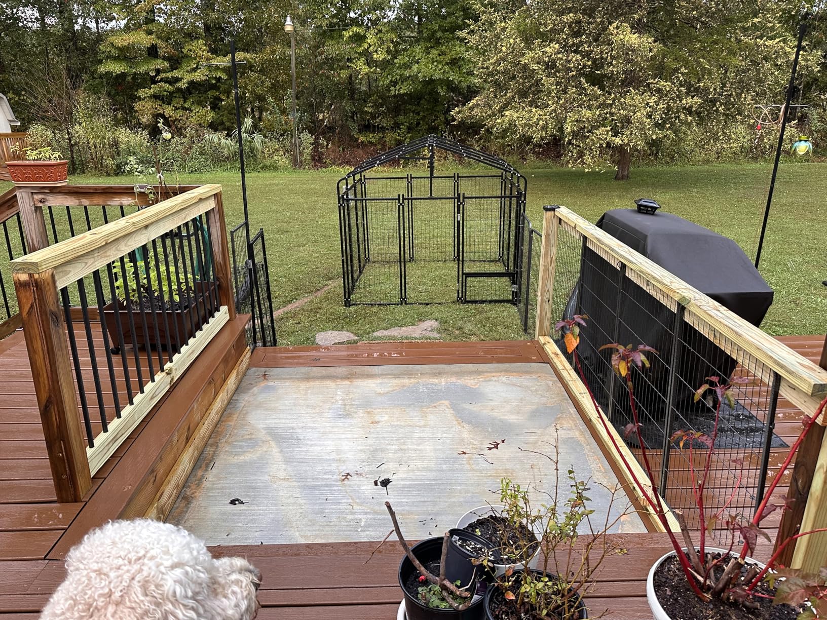 10X14FT Dog Kennel Outside Double Door Dog Kennel Outdoor with Feeding, Heavy Duty Outdoor Dog Crate Durable Dog Cage with Roof & Double Lock, 120.6