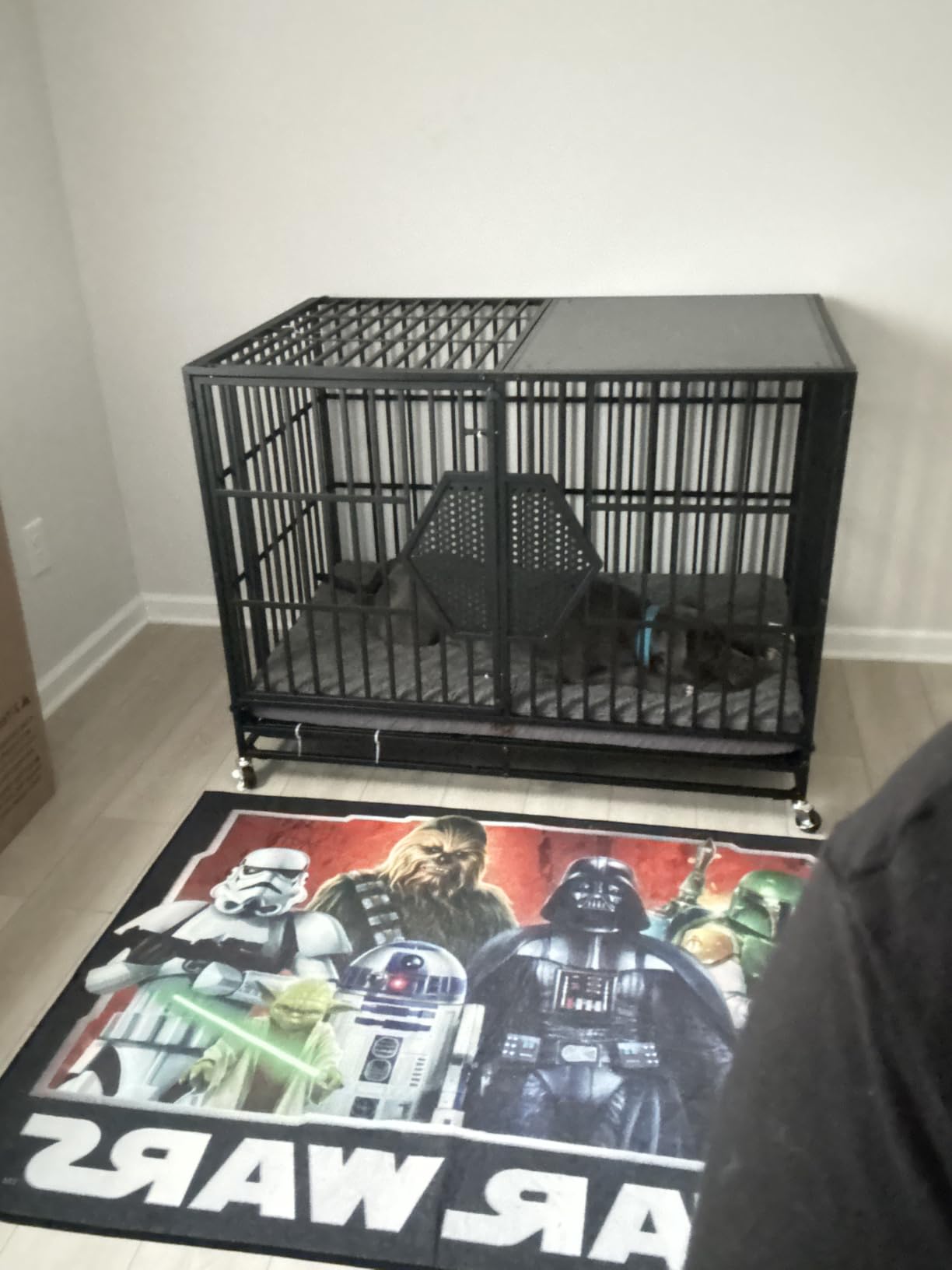 CAMMOO 48'' Heavy Duty Dog Crates for Large Dogs - Escape-Proof Dual Top Fences, Reinforced Square Tube Frame, Dog Kennel Indoor, Easy-Clean Split Floor, Extra-Wide Door, Dog Cage for High Anxiety Dog customer photo 2