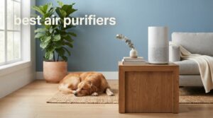 best air purifiers