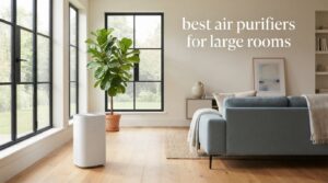 best air purifiers for large rooms