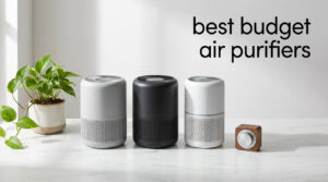 best budget air purifiers