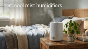best cool mist humidifiers