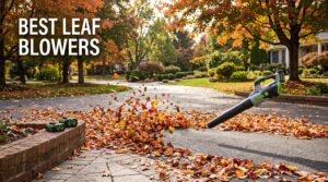 best leaf blowers