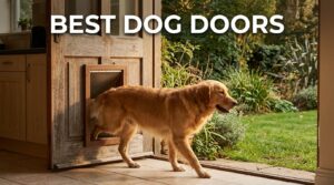 best dog doors