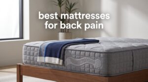 best mattresses for back pain