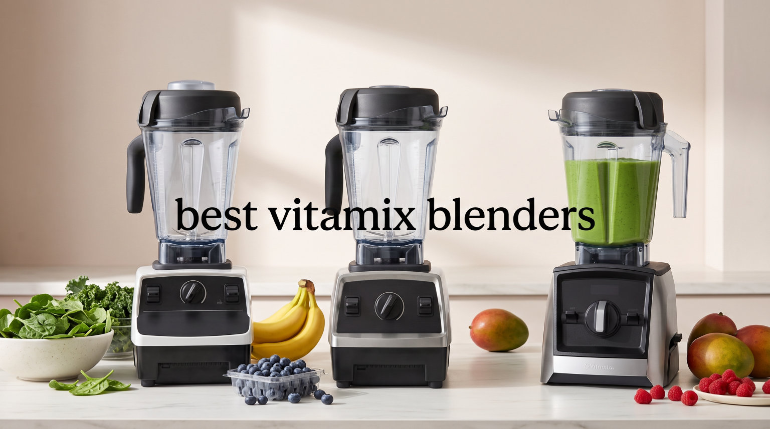 best vitamix blenders