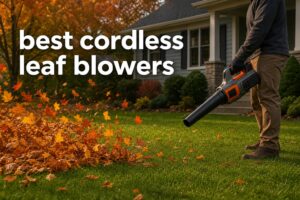 best cordless leaf blowers