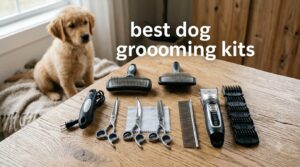 best dog grooming kits