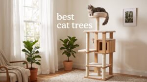 best cat trees