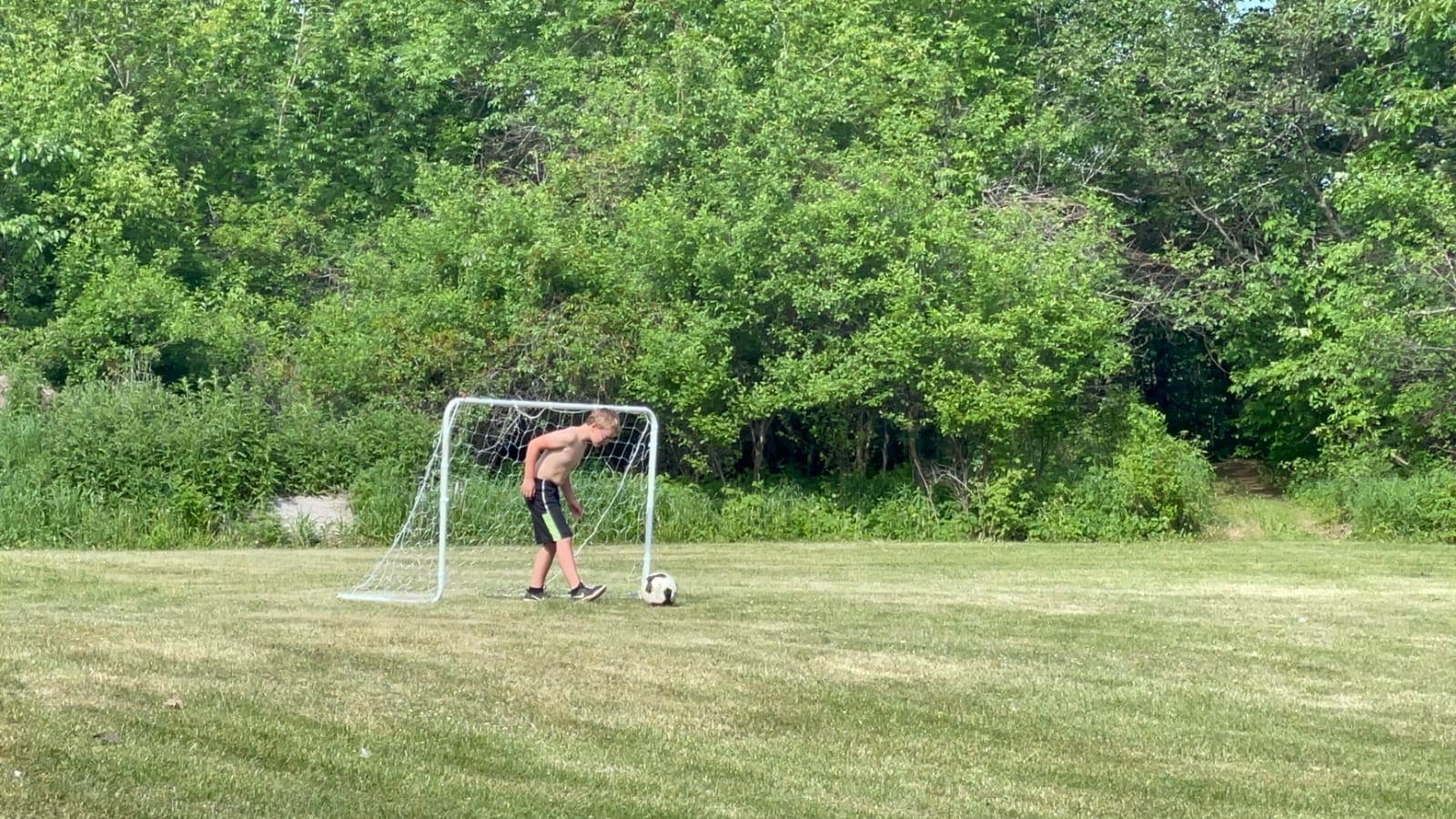 Franklin Sports Competition Soccer Goals - Backyard Portable Steel Soccer Goals - Adult + Youth Soccer Goal with Net + Ground Stakes Included - Multiple Sizes + Colors customer photo 1