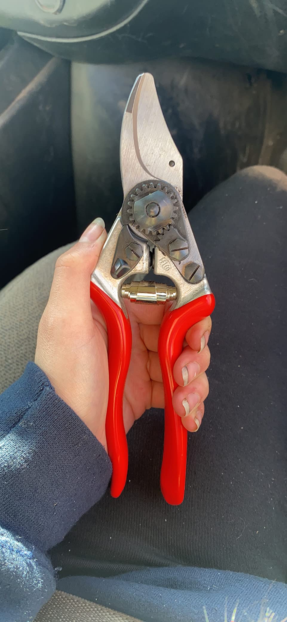 Felco F6 Pruning Shears - 7.7