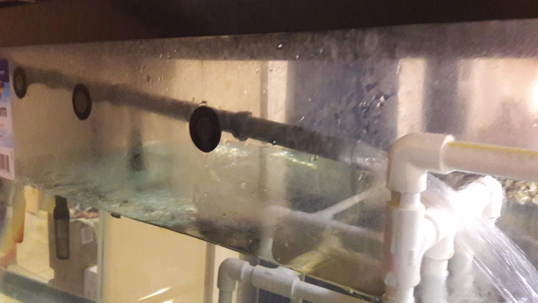 Penn-Plax Cascade 700 Canister Filter - 185 GPH Aquarium Filter for Tanks Up to 65 Gallons customer photo 1