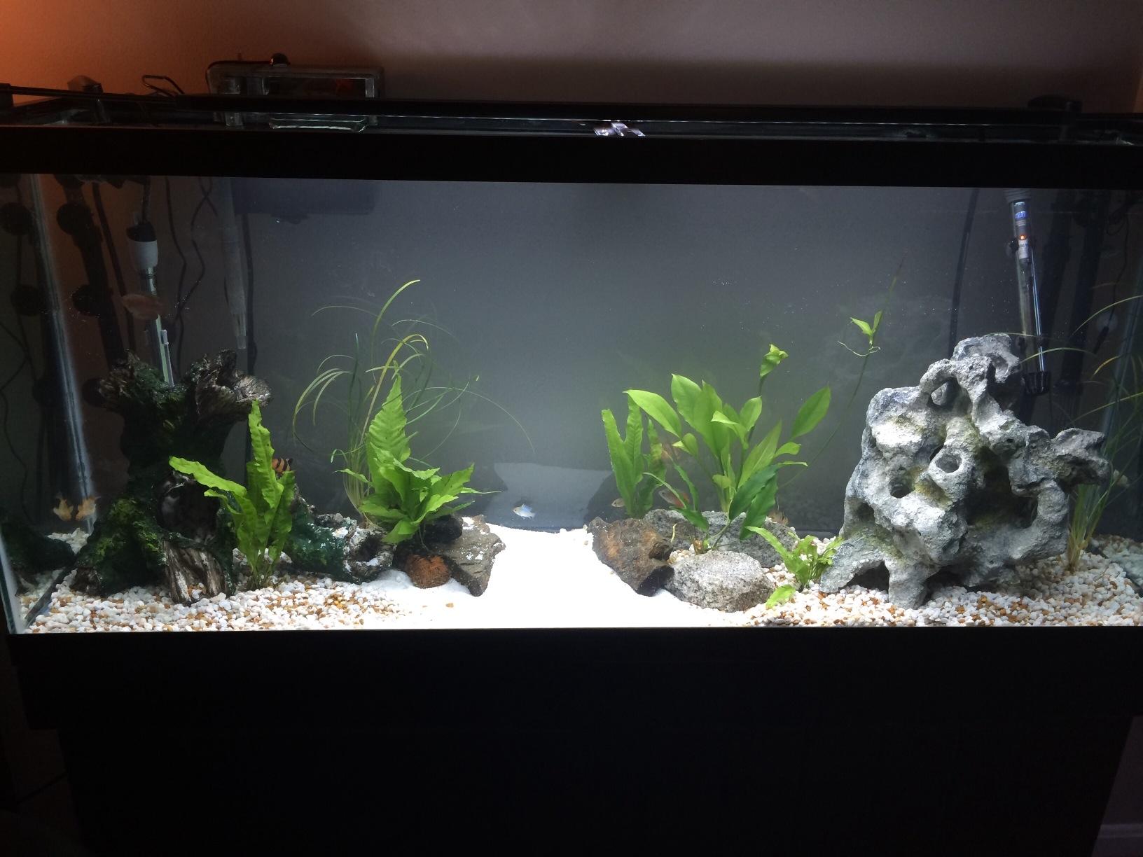 Penn-Plax Cascade 1200 Canister Filter - 315 GPH Aquarium Filter for Tanks Up to 150 Gallons - 360 Degree Flow Valves, Poly Fiber Pads, Bio-Sponge & Activated Carbon -Fresh & Saltwater -11.5x11x20.5in customer photo 2